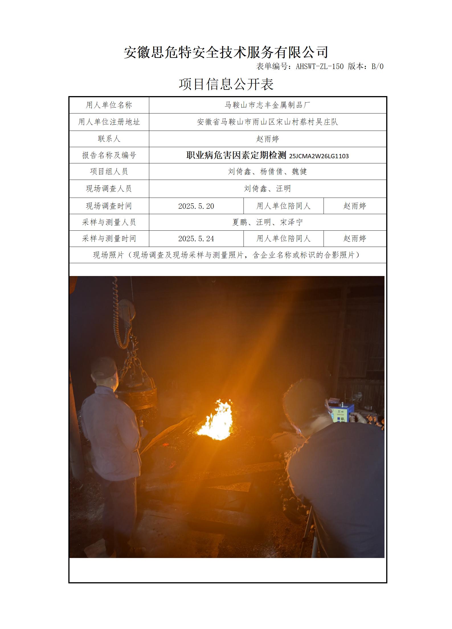 AHSWT-ZL-150 項(xiàng)目信息公開表B0_01.jpg